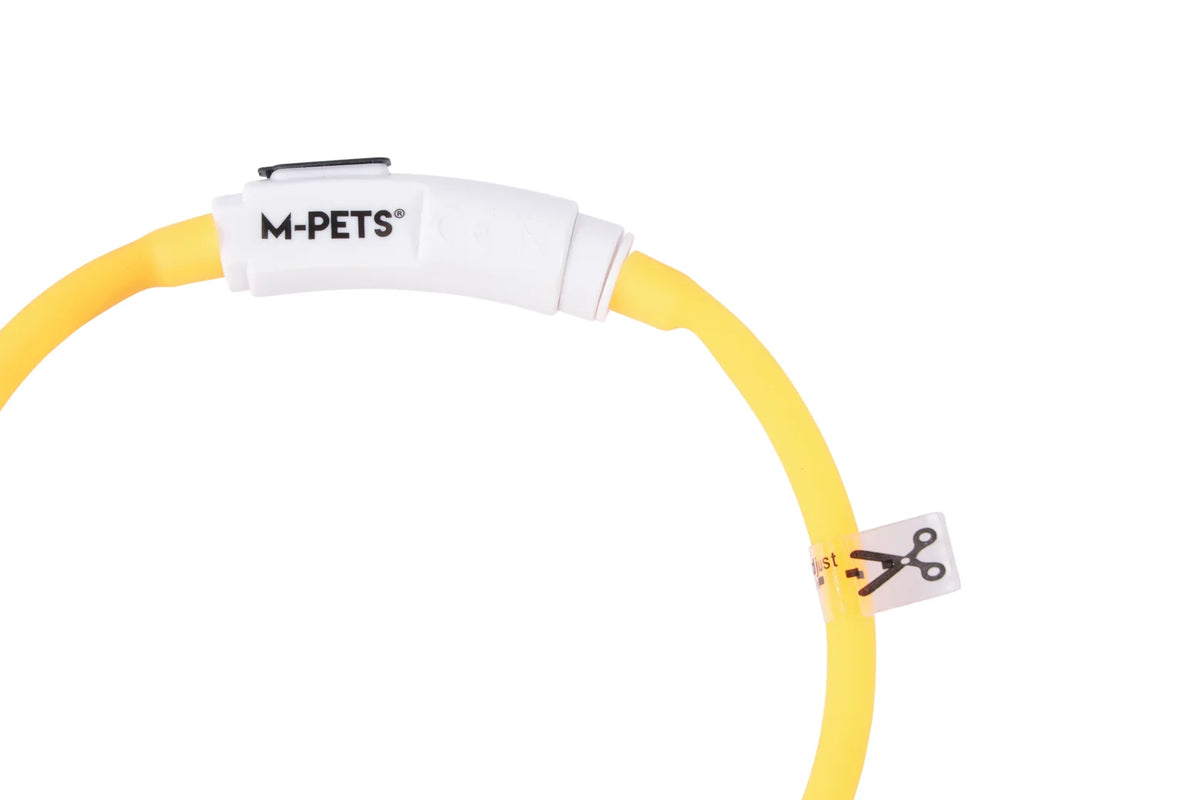 Collar LED Recargable