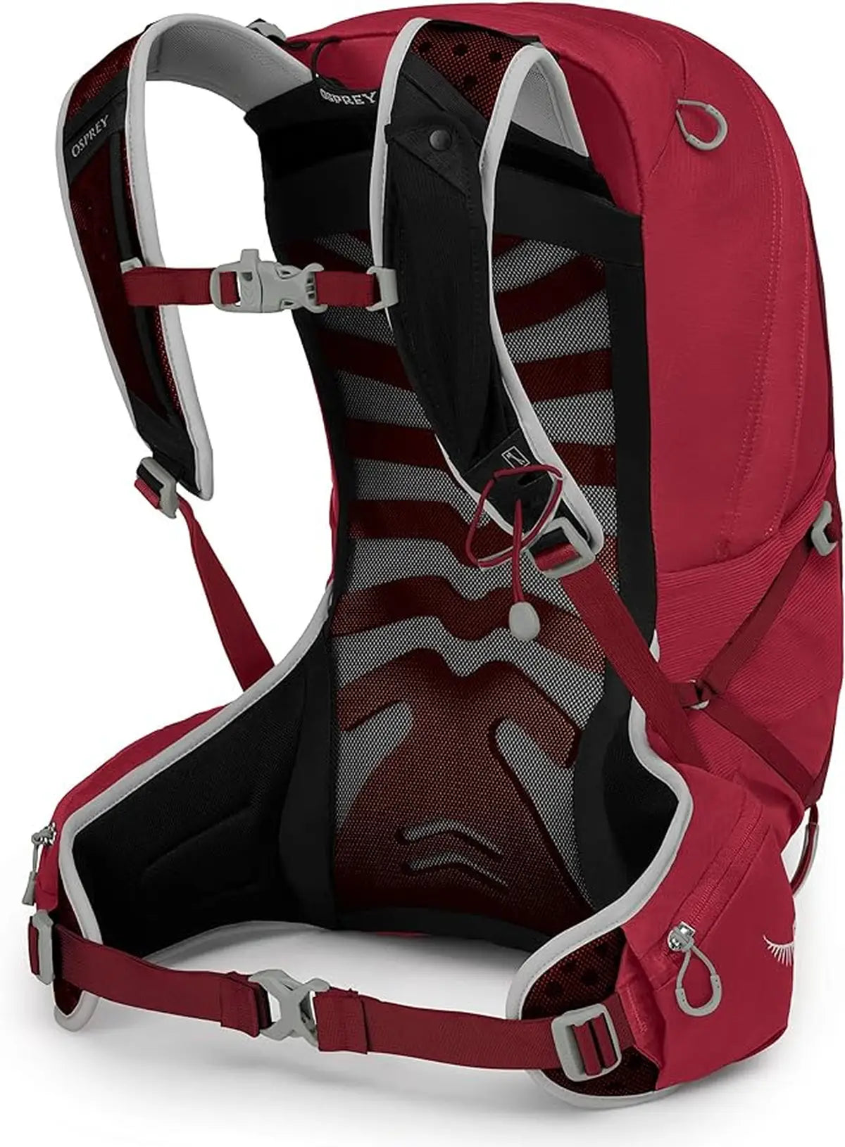 TALON 22 Backpack Size L/XL Eclipse Gray