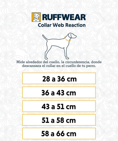 WEB REACTION® BLUE POOL Dog Collar