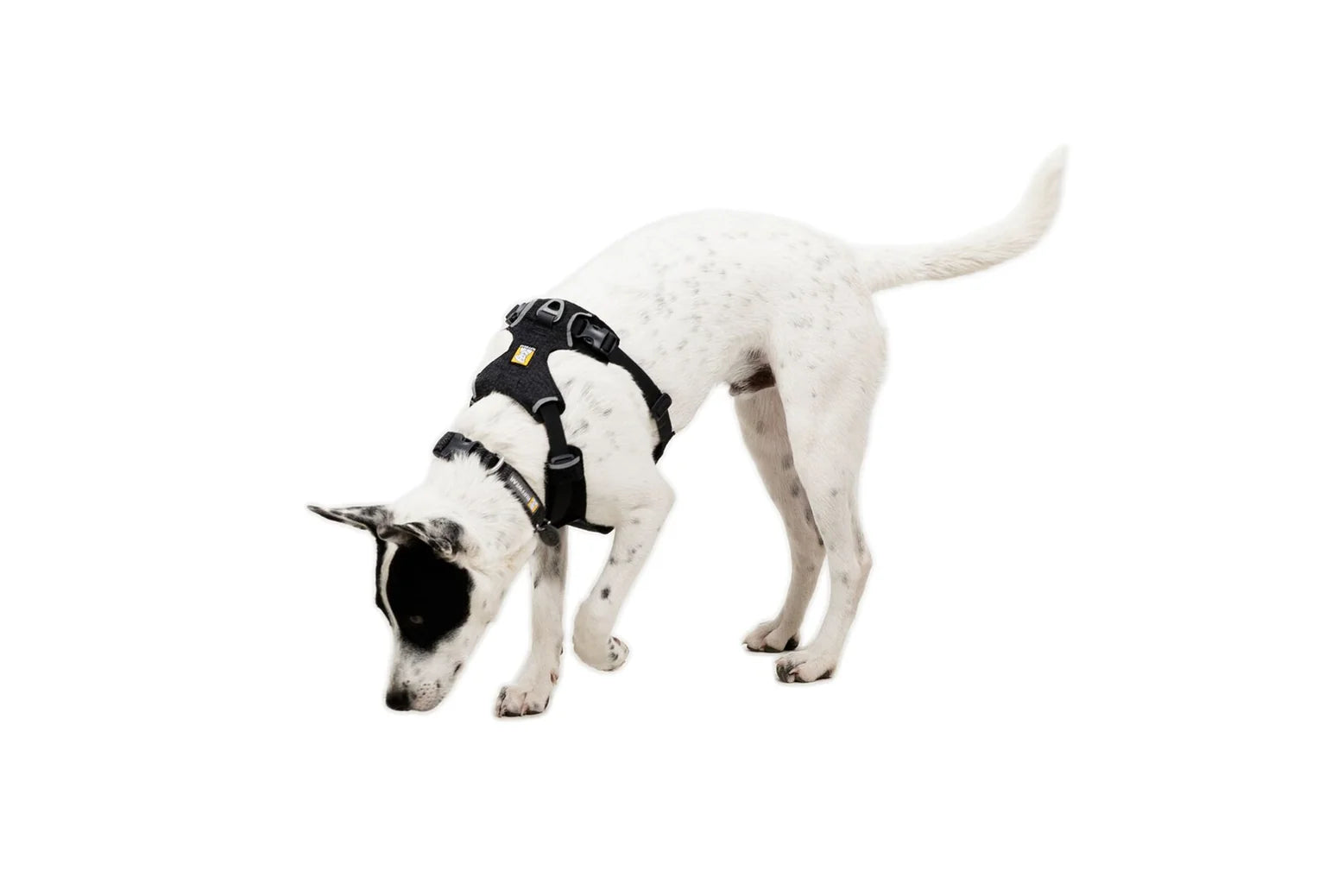 Pechera para Perro Front Range® Flex Harness (Basalt Gray)