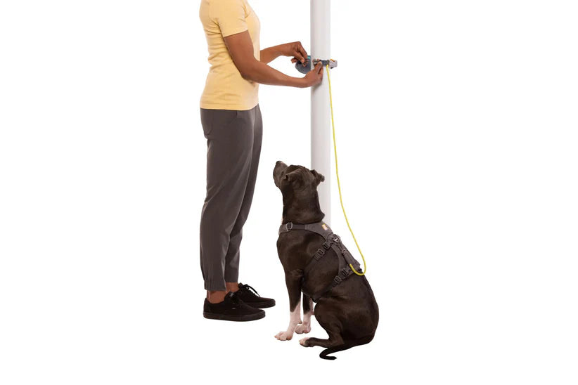 Correa para perros HITCH HIKER Slate Blue