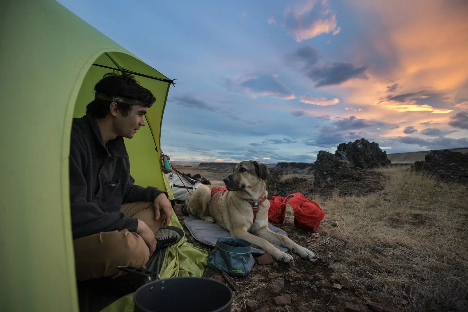 HIGHLANDS® PAD LARGE portable dog bed