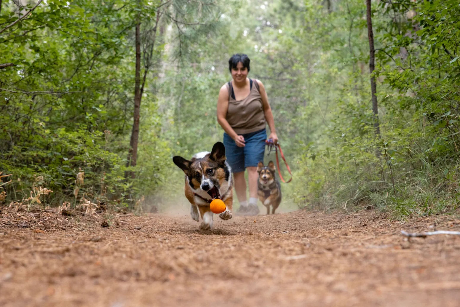 Juguete para perros TURNUP Sage Green