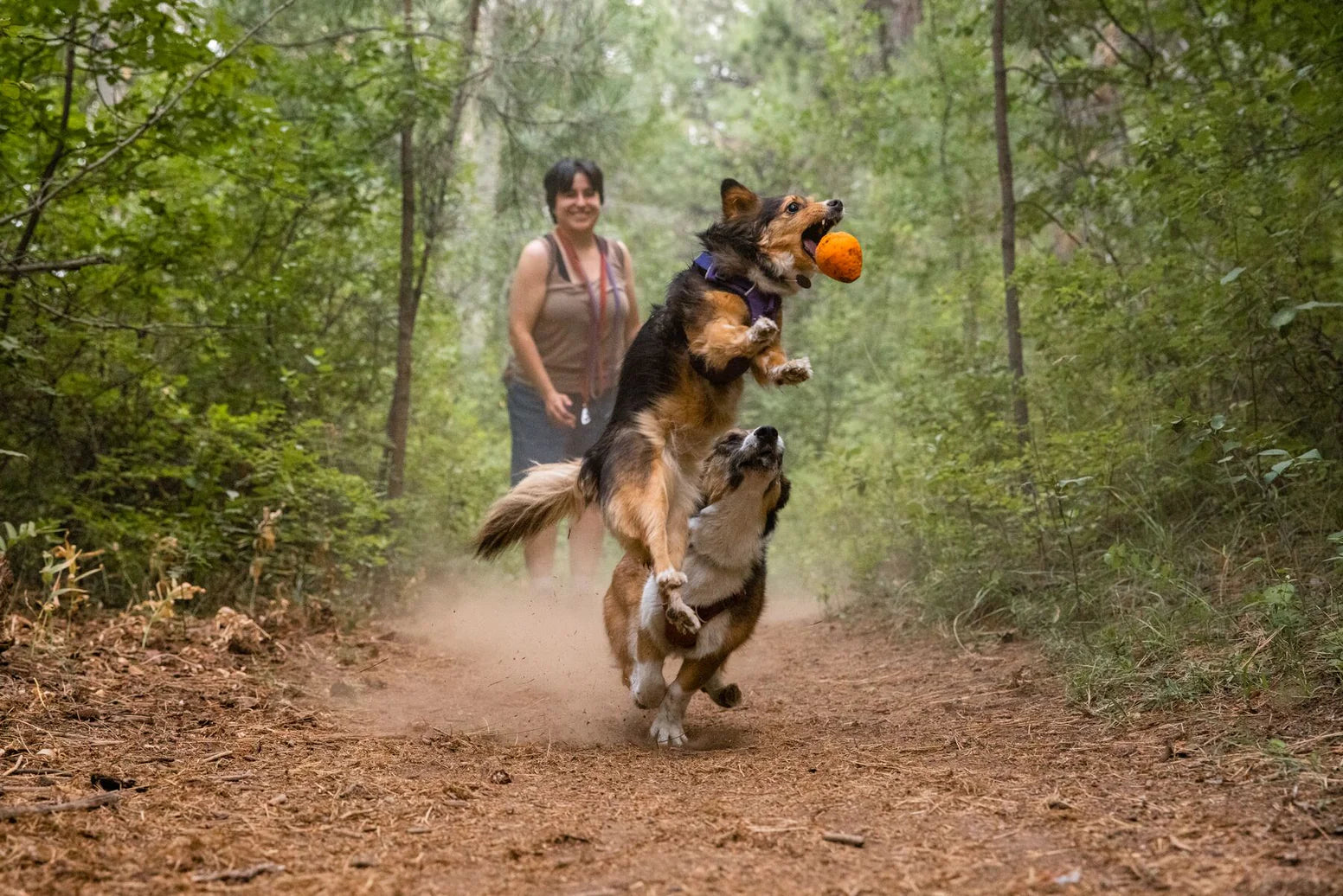 Juguete para perros TURNUP Sage Green