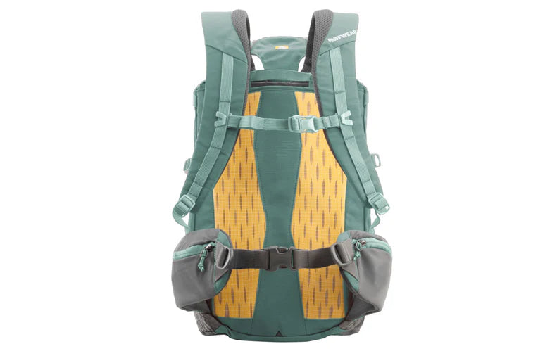 Mochila Transportadora Técnica para Perros HITCH HIKER™ River Rock Green