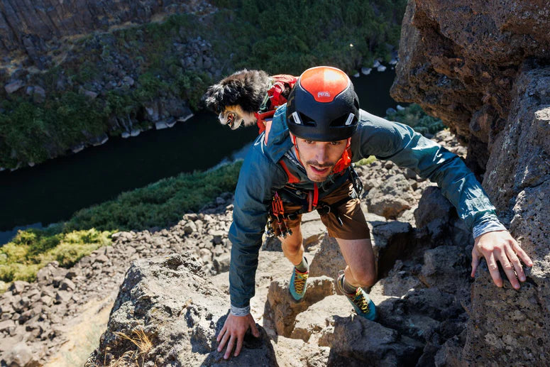 Mochila Transportadora Técnica para Perros HITCH HIKER™ Basalt Gray