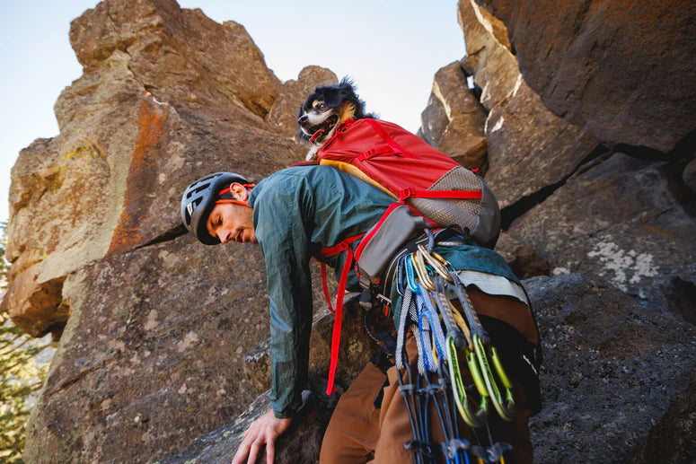 Mochila Transportadora Técnica para Perros HITCH HIKER™ Basalt Gray