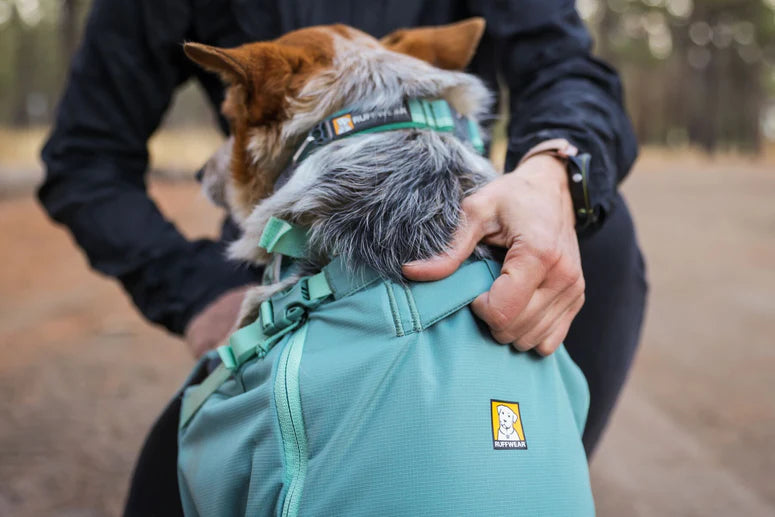 Mochila Transportadora Técnica para Perros HITCH HIKER™ River Rock Green