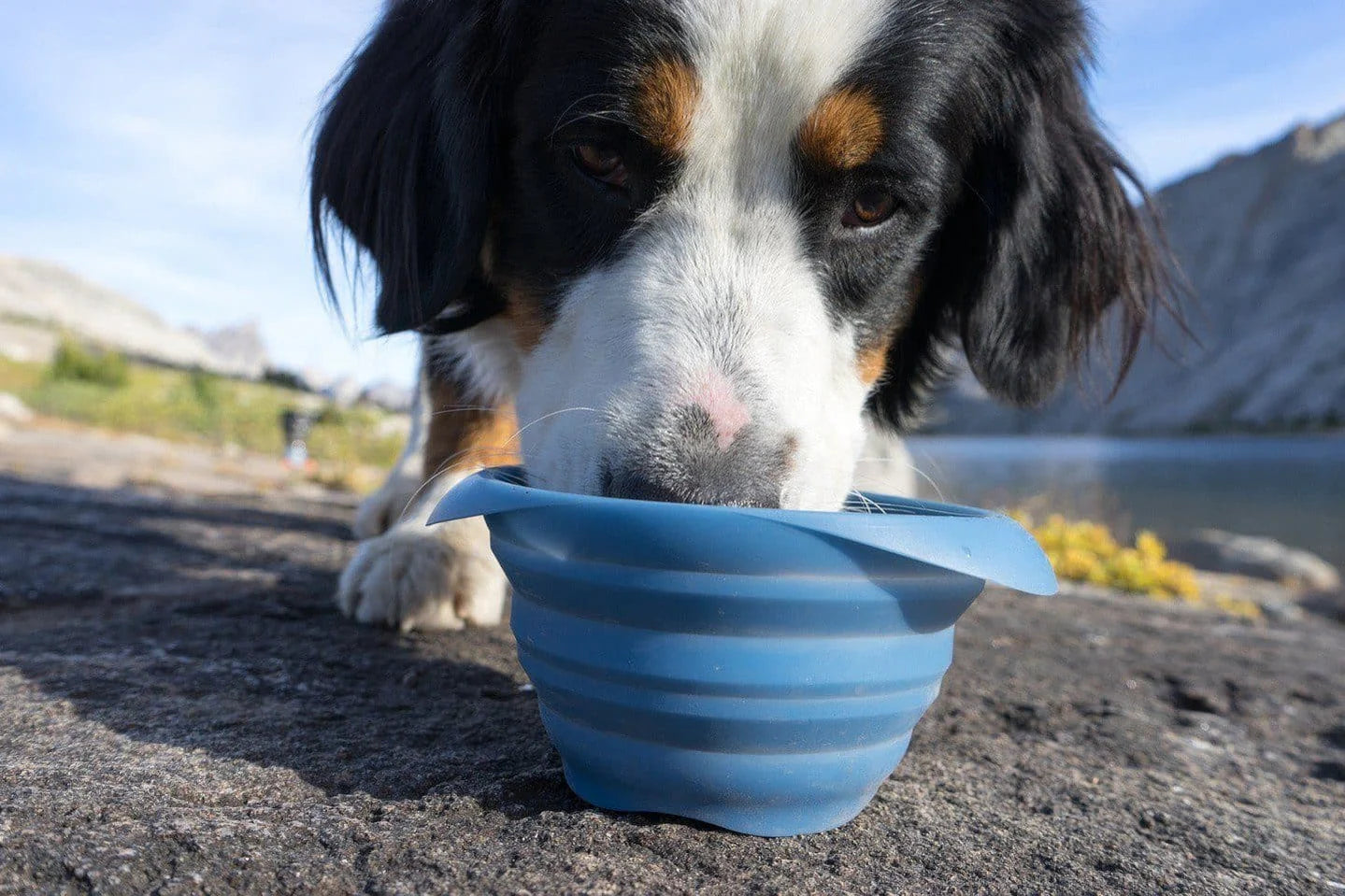 Plato Portatil Plegable Naranja