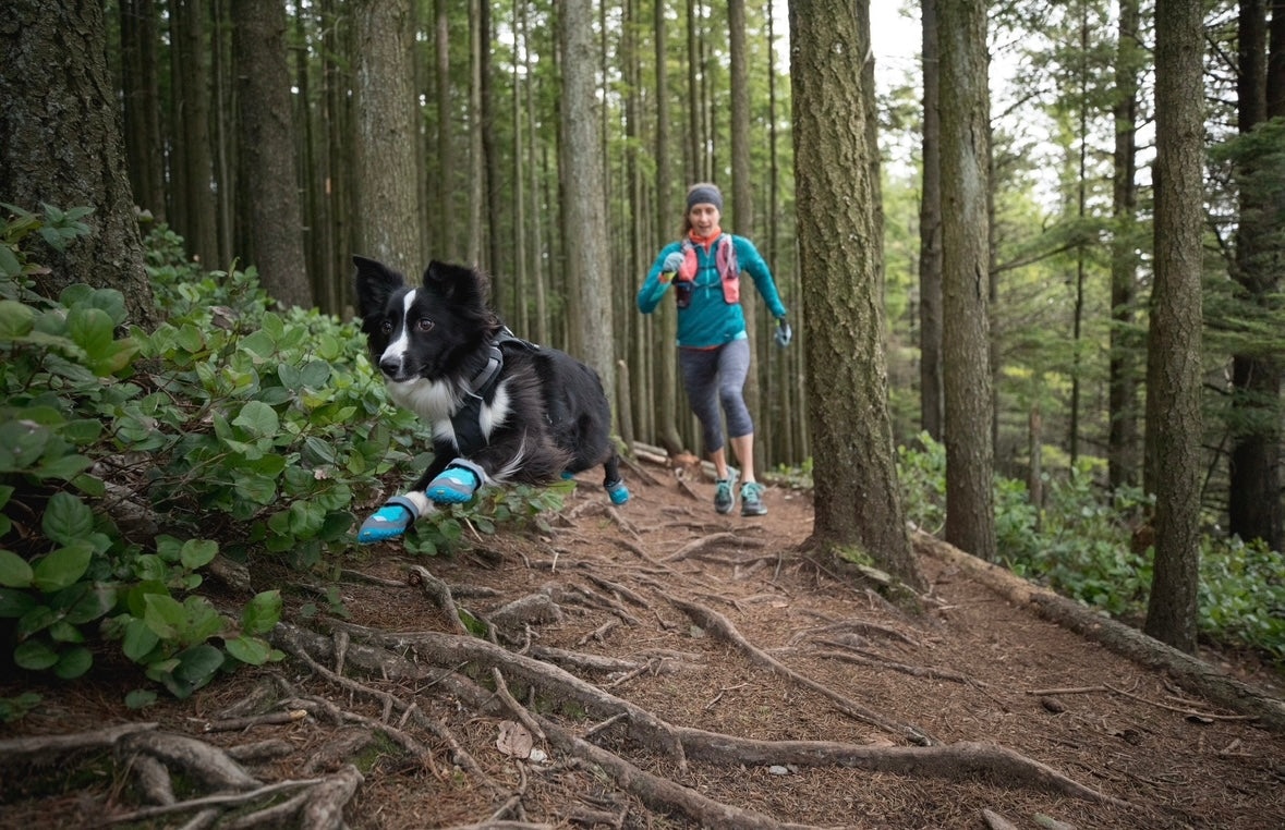 De hike con tu mejor amigo