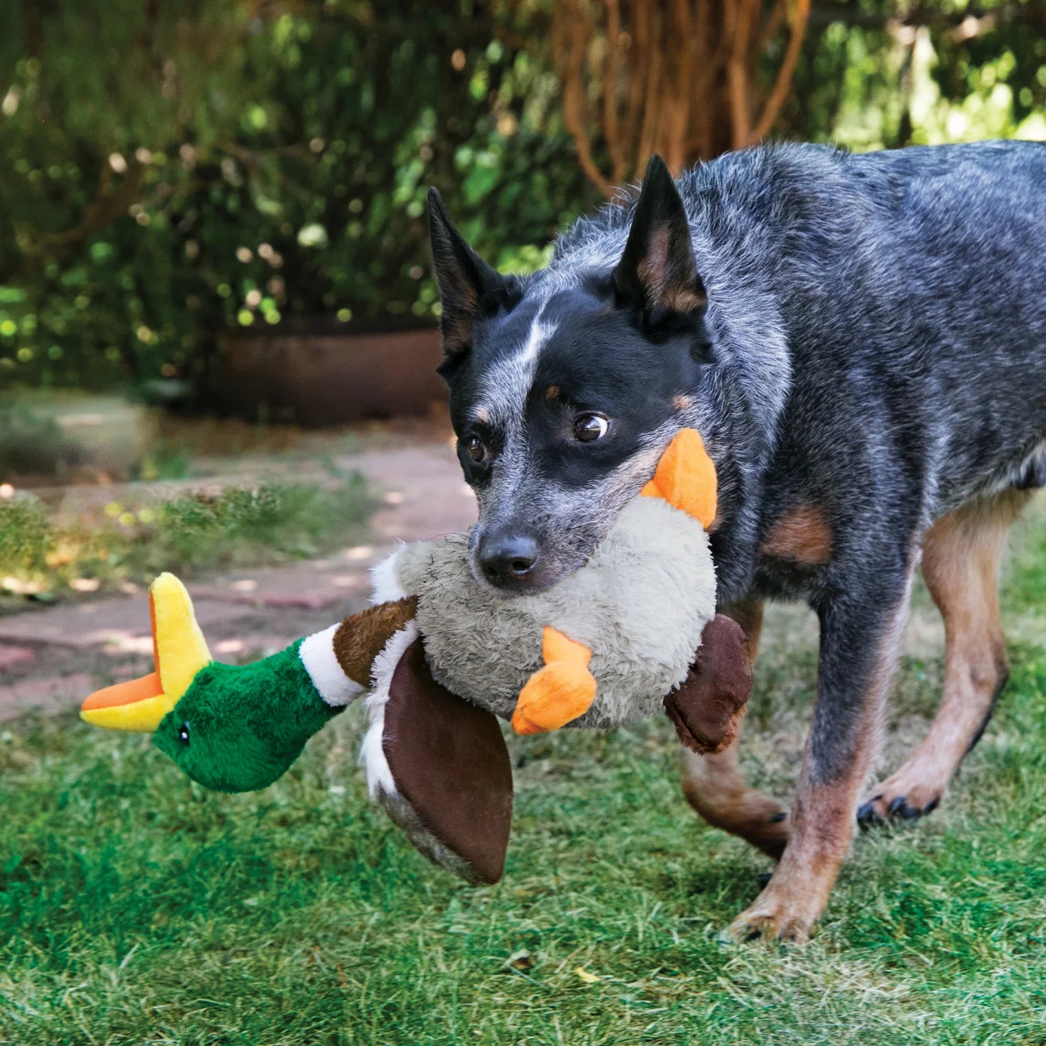 Juguete de Peluche con Sonido para Perros Shakers Honkers Duck